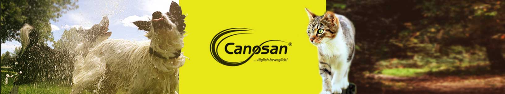 IfItDoesntMatchAnyMedia