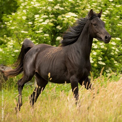 23_01_Magazin-Untergewicht-Vorschaubild_420x420px