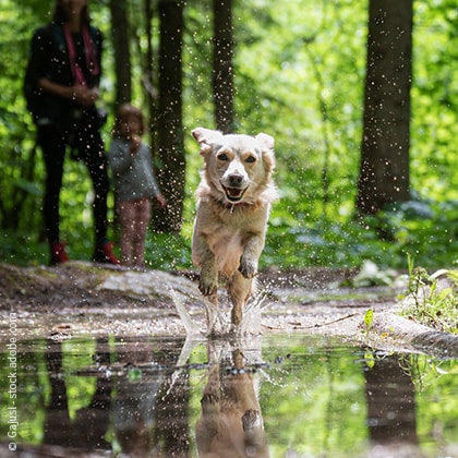 23_02_23_Zecken Titelbild