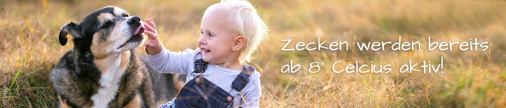 IfItDoesntMatchAnyMedia