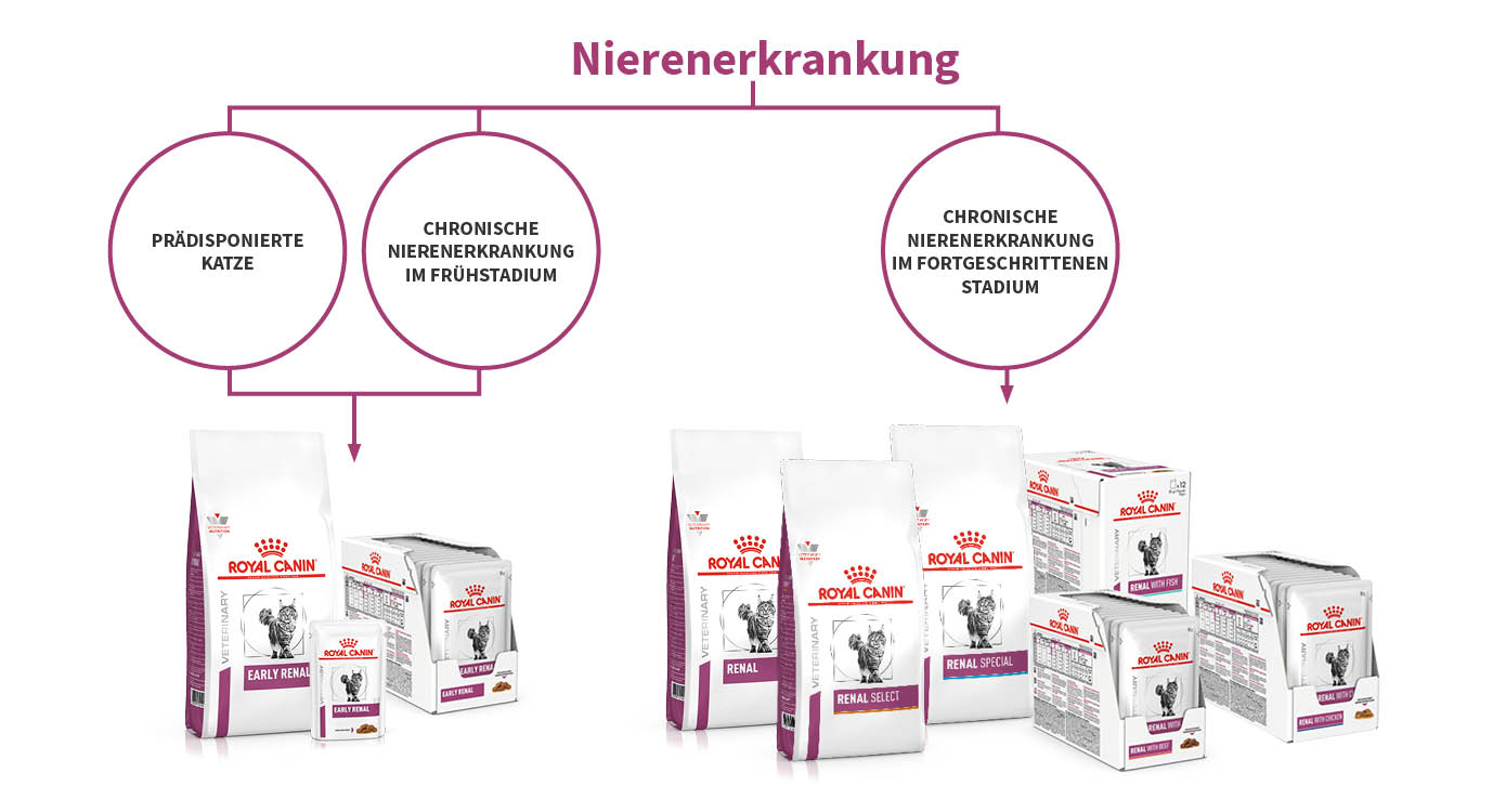 IfItDoesntMatchAnyMedia