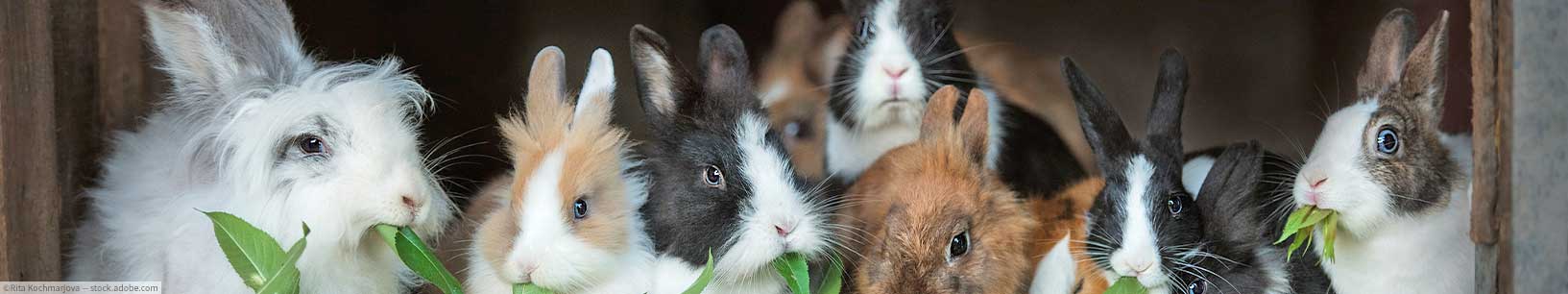 IfItDoesntMatchAnyMedia