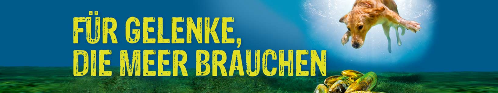 IfItDoesntMatchAnyMedia