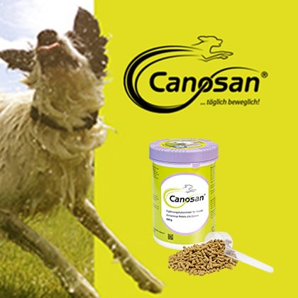 Canosan_Produkttest_Vorschau