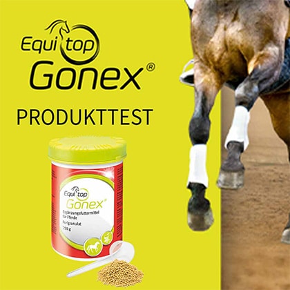Equitop_Produkttests_Vorschau