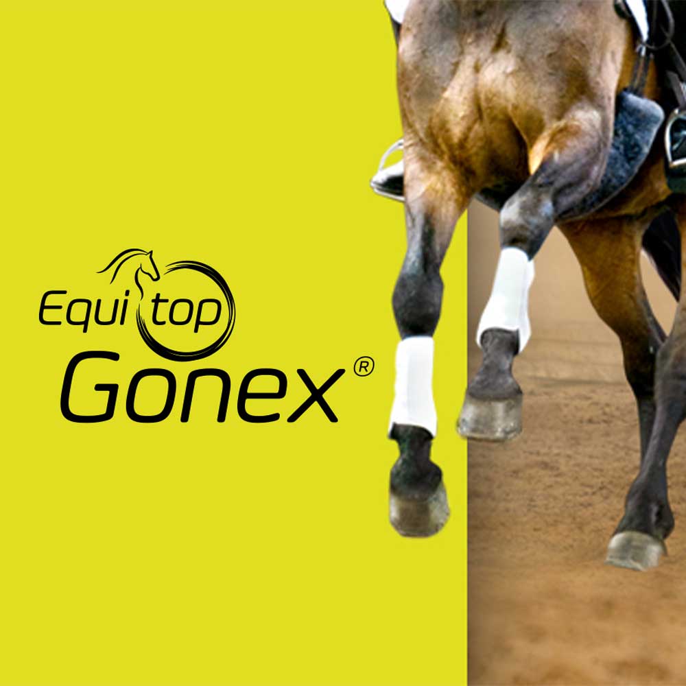 Vorschaubild-Equitop-Gonex