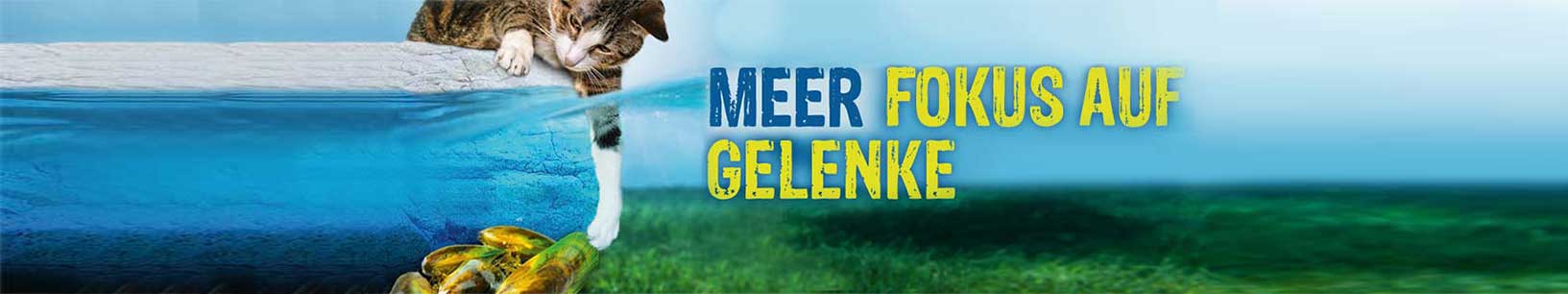 IfItDoesntMatchAnyMedia