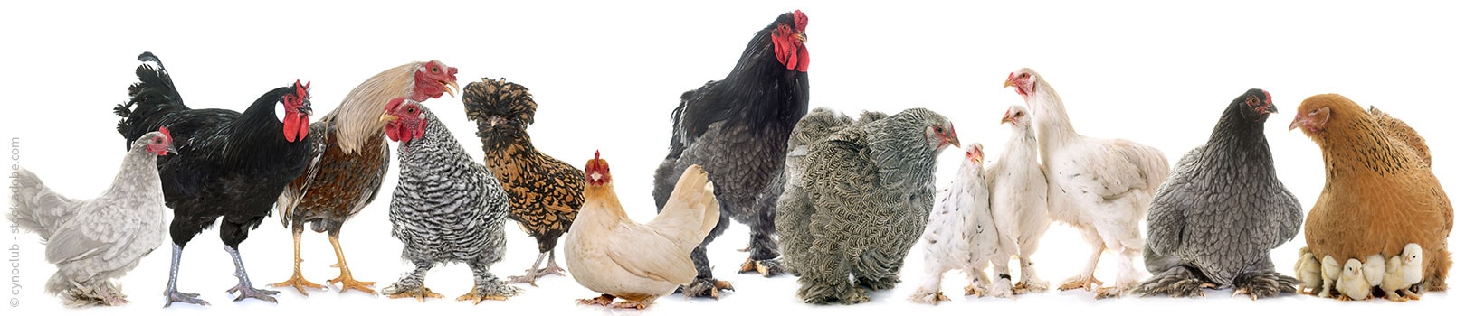 IfItDoesntMatchAnyMedia