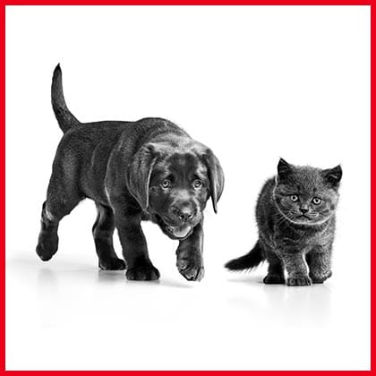 23_05_08_SOL_Vorschau-mit-Quelle