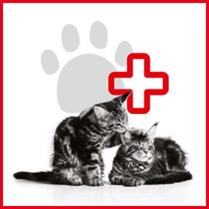 00_TYPTTV_Vorschau-mit-Quelle