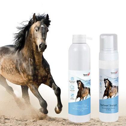 Equihexan_Produkttestergebnisse_Vorschau