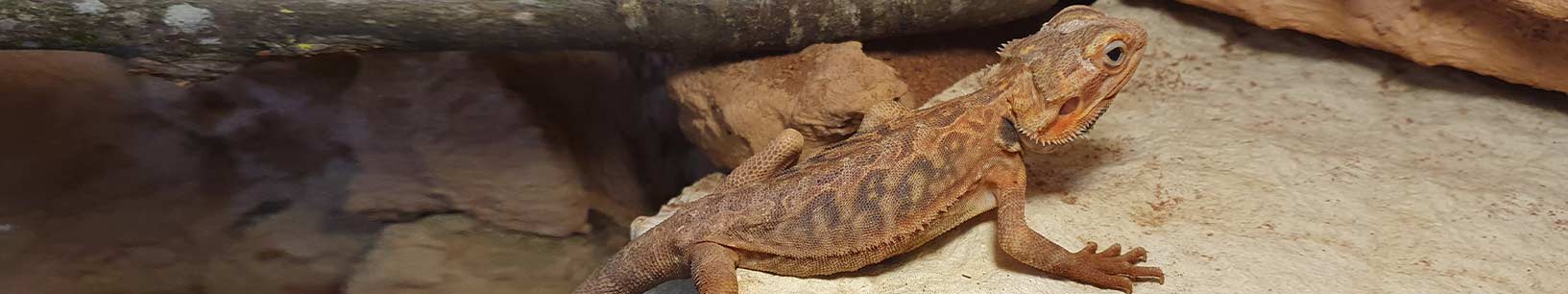 IfItDoesntMatchAnyMedia