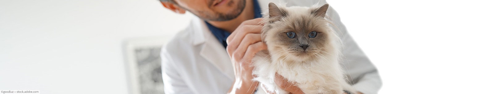 IfItDoesntMatchAnyMedia