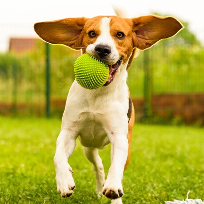 Augen_und_Ohren_Vorschau