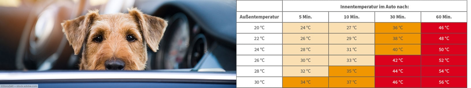 IfItDoesntMatchAnyMedia