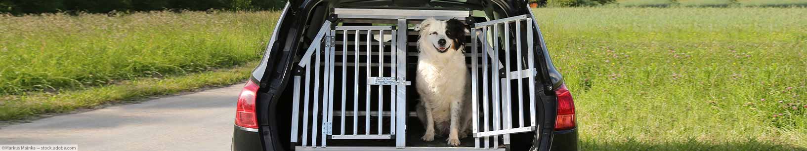 IfItDoesntMatchAnyMedia