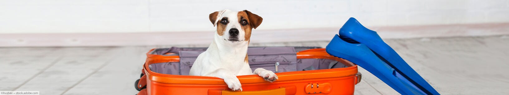 IfItDoesntMatchAnyMedia