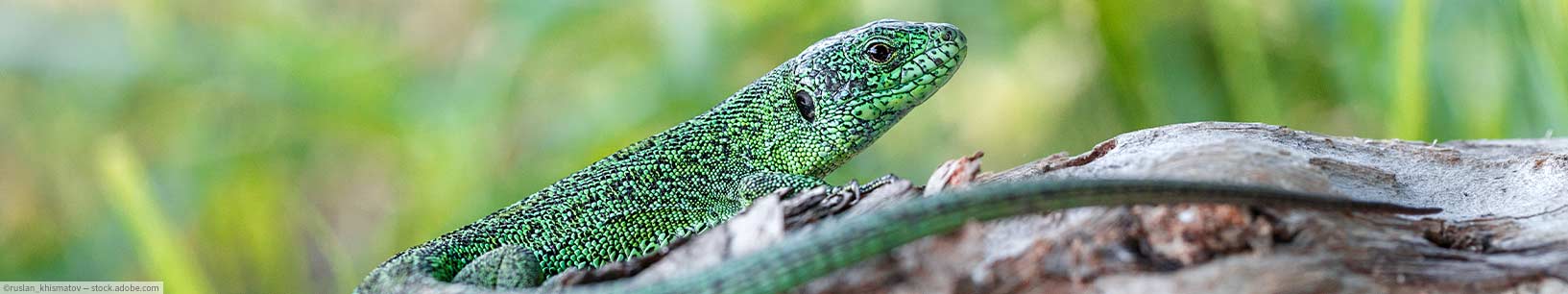 IfItDoesntMatchAnyMedia