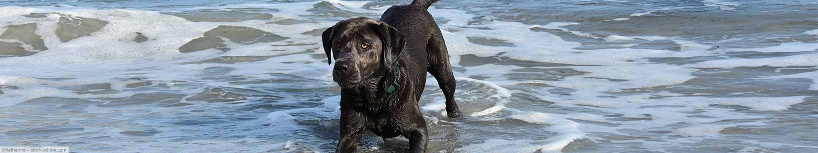 IfItDoesntMatchAnyMedia