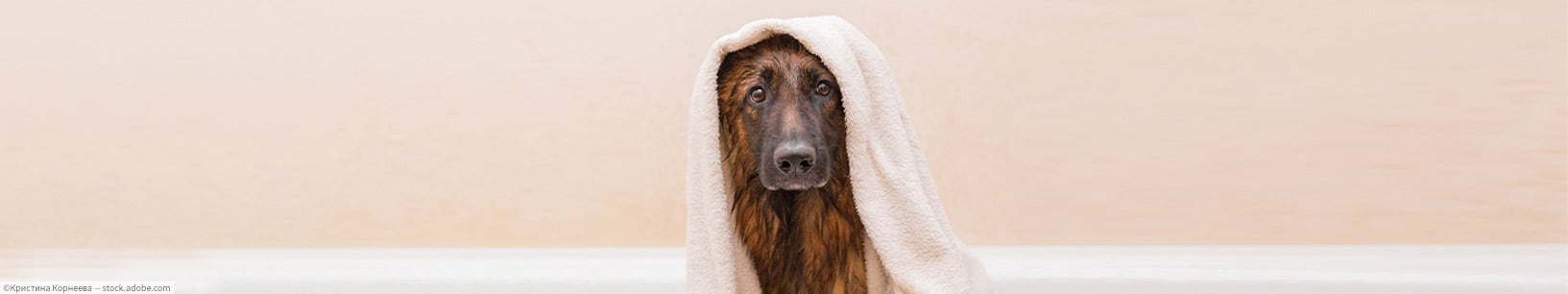 IfItDoesntMatchAnyMedia