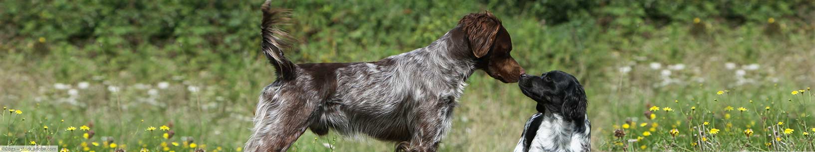 IfItDoesntMatchAnyMedia