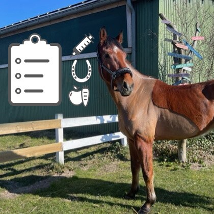 Stallmanagement_Vorschau