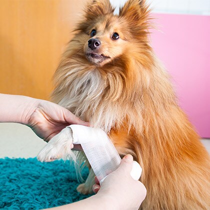 Wundbehandlung_Vorschau