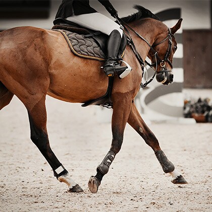 Gelenke-gut-pflegen_Vorschau