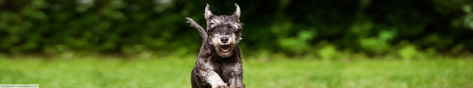 IfItDoesntMatchAnyMedia