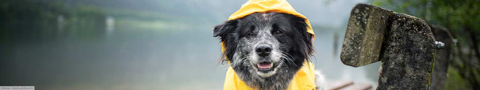 IfItDoesntMatchAnyMedia