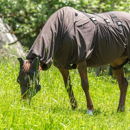 Sommerekzem_Pferd_Vorschau