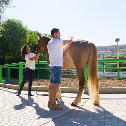 Physiotherapie_Vorschau