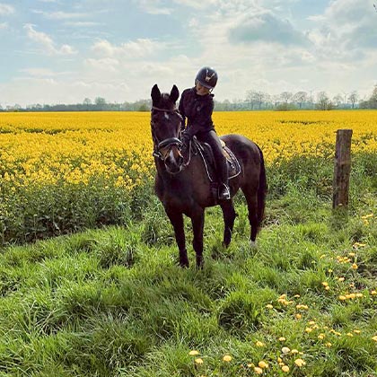 Seniorenpferd_Vorschau