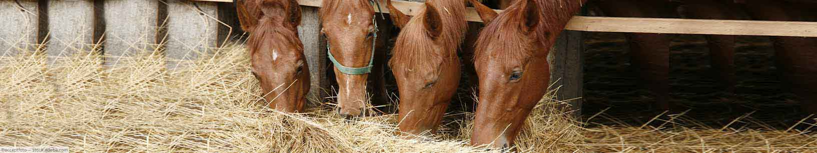 IfItDoesntMatchAnyMedia