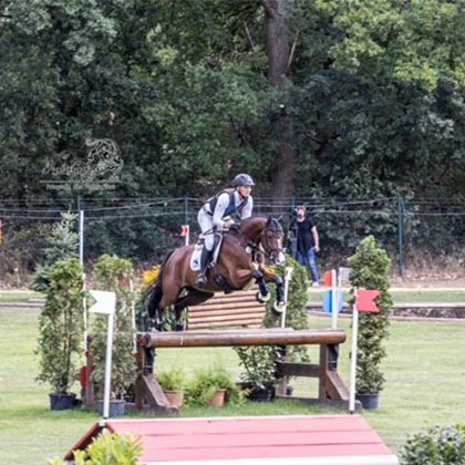 Bundeschampionat_vorschau